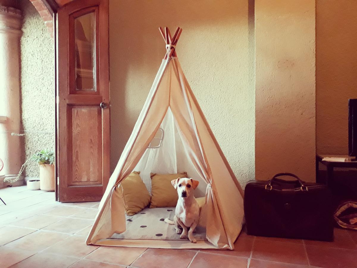 سان ميغيل دي الليندي Lool Beh Hostal المظهر الخارجي الصورة